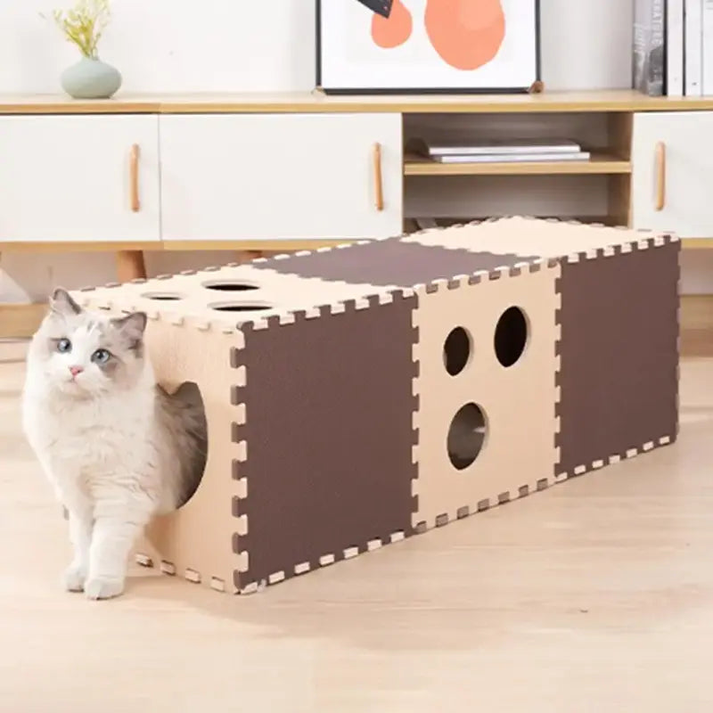 Indoor cat house